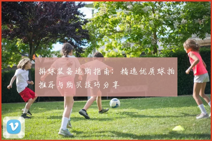 排球装备选购指南：精选优质球拍推荐与购买技巧分享