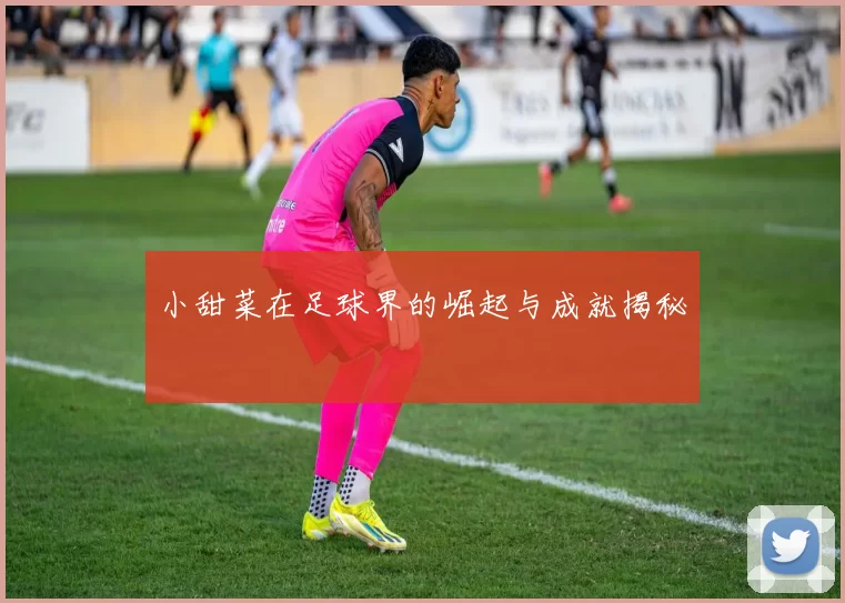 小甜菜在足球界的崛起与成就揭秘