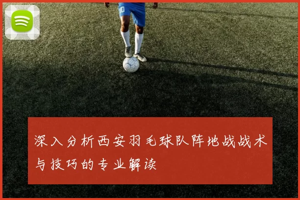 深入分析西安羽毛球队阵地战战术与技巧的专业解读
